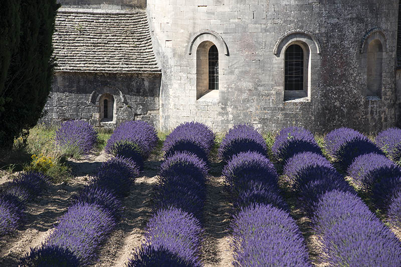 Provence