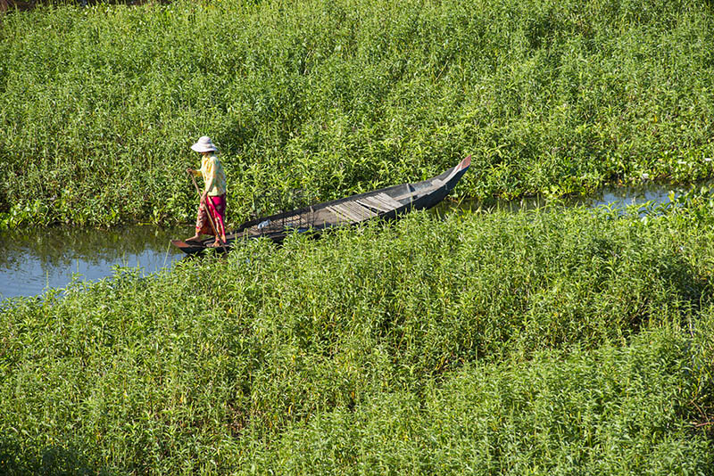 CAMBODIA