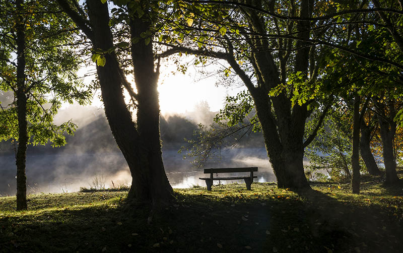 Bench on the River